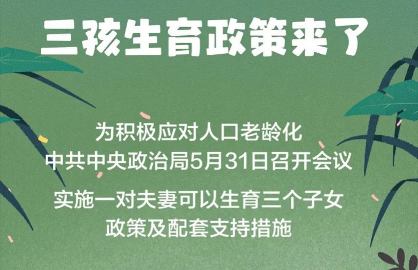 临沂三胎政策最新动态，解读及其影响分析