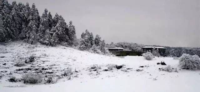 雪的奇幻世界，最新探索之旅