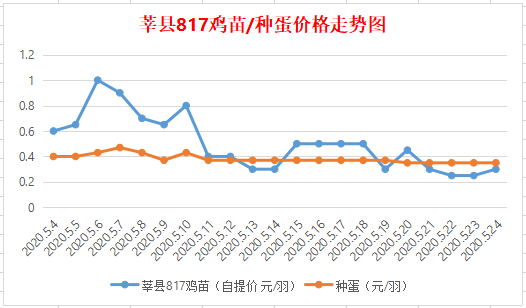 今日鸡苗市场深度解析，最新价格与走势分析