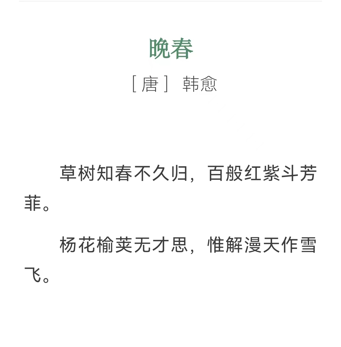 晚春楼官网，传统魅力与现代风采的融合典范